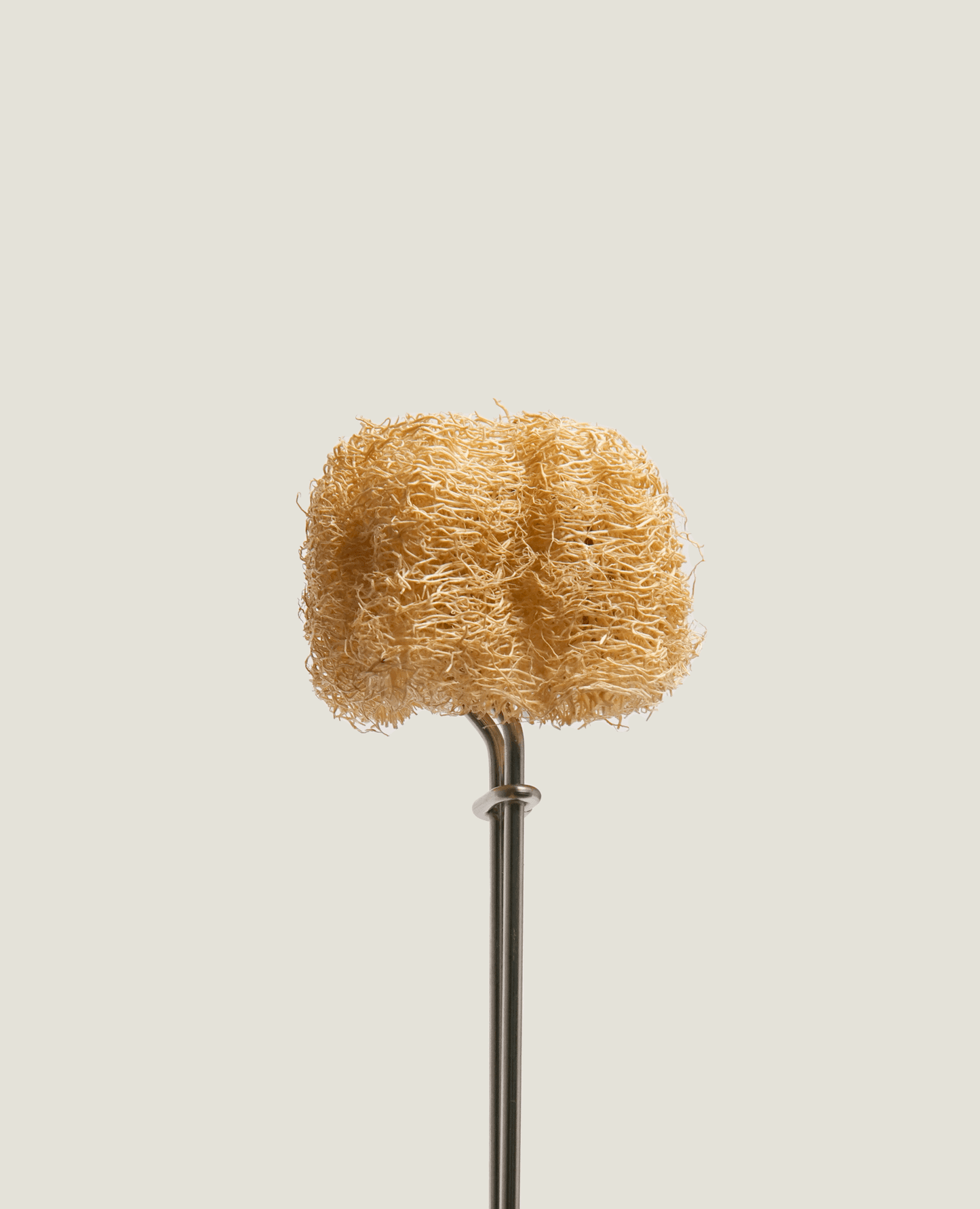 Unbleached Loofah