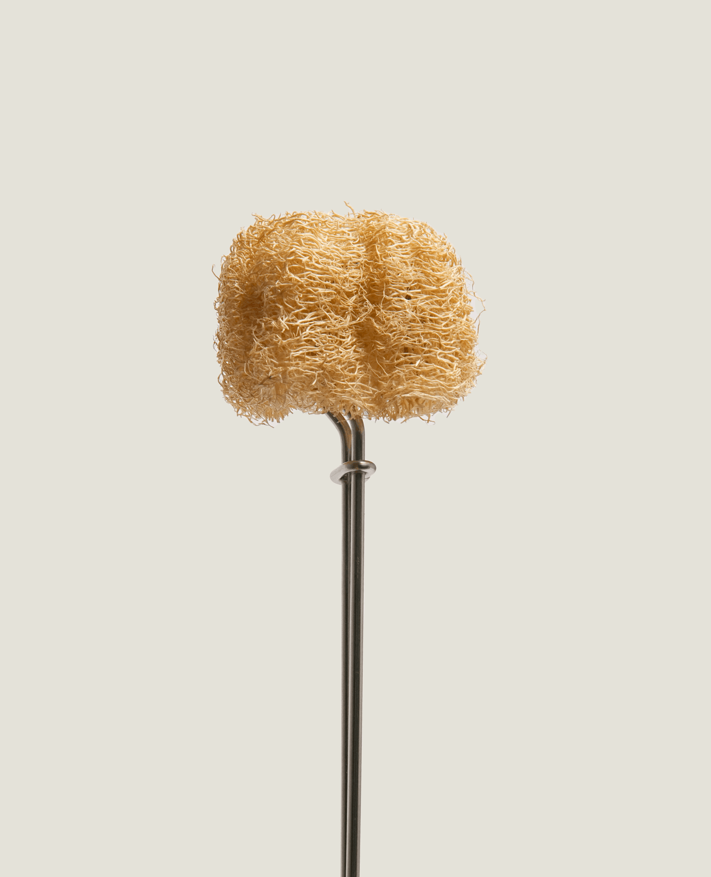 Stainless Steel Brush Handle