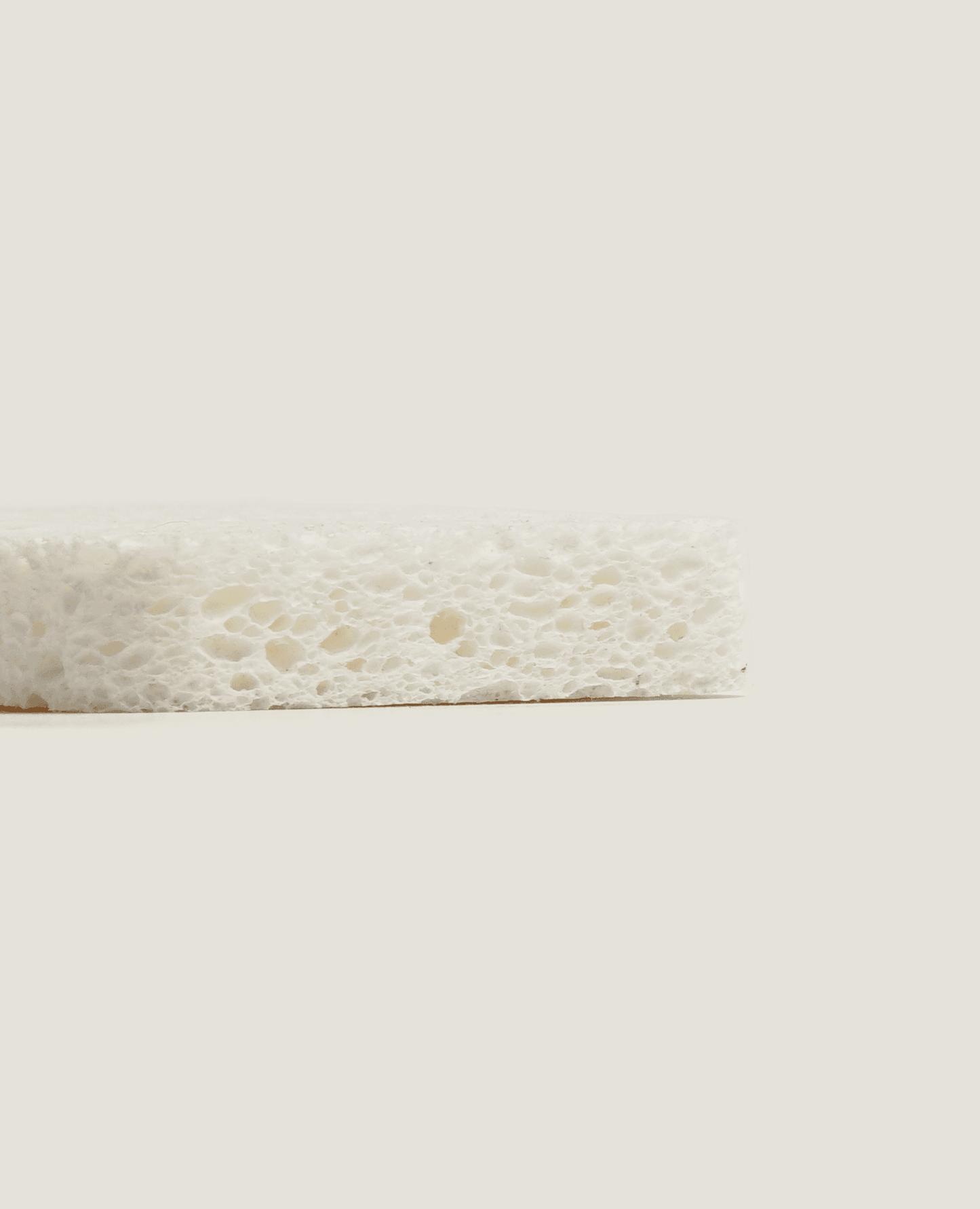 Wood Pulp Sponge