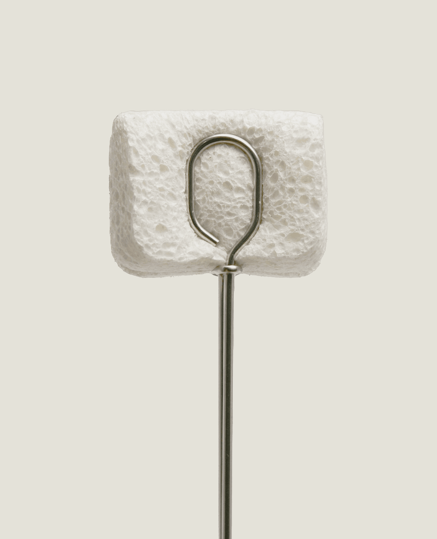 Wood Pulp Sponge