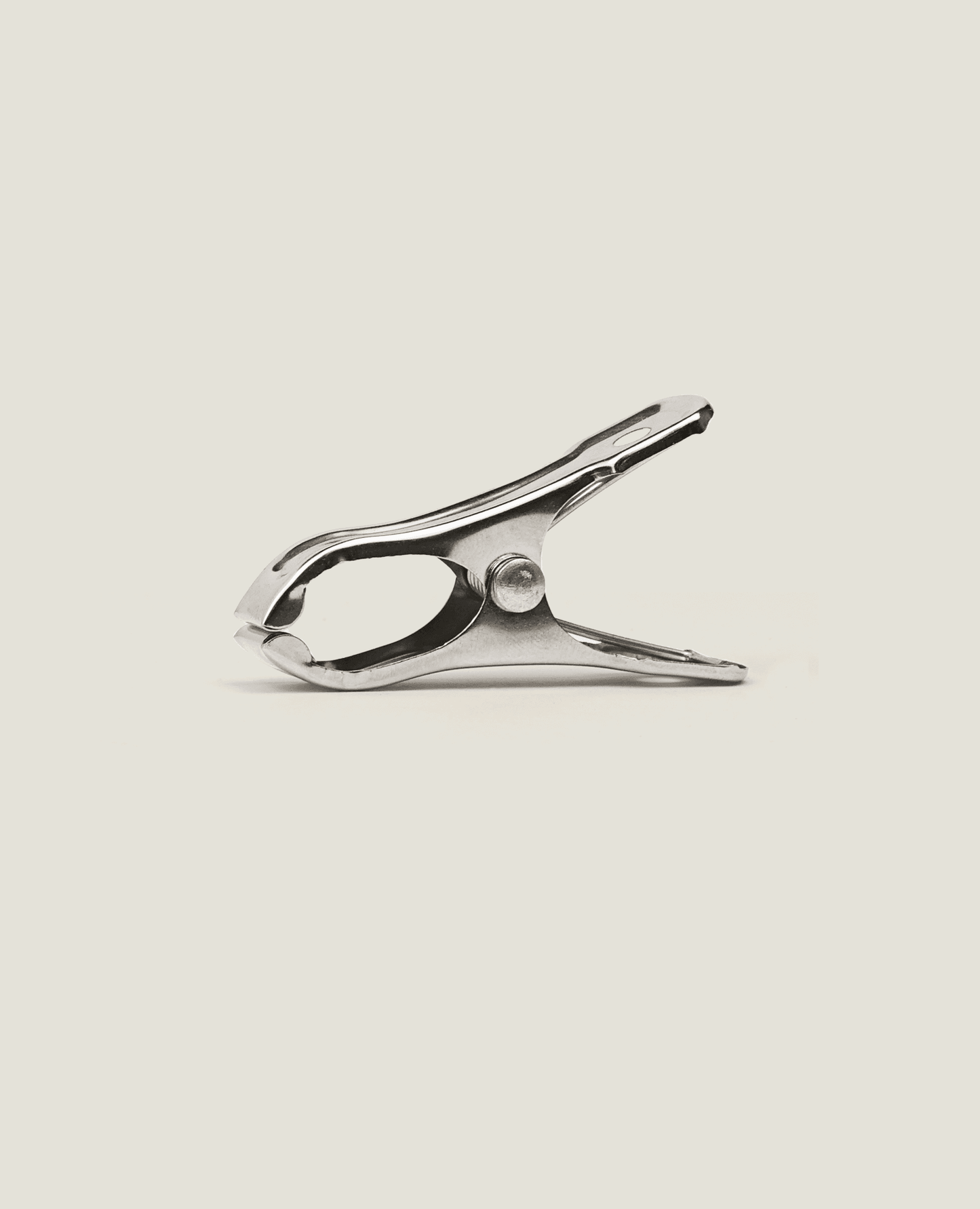 Stainless Steel Cloth Peg S Size 10 Pcs