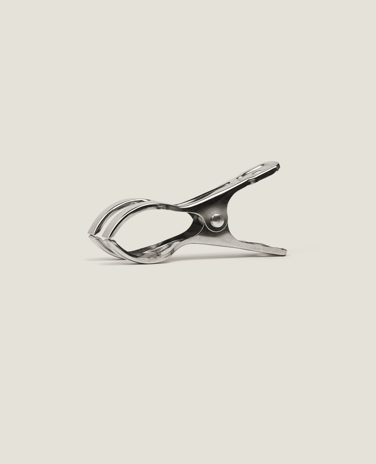 Stainless Steel Cloth Peg M Size 6 Pcs