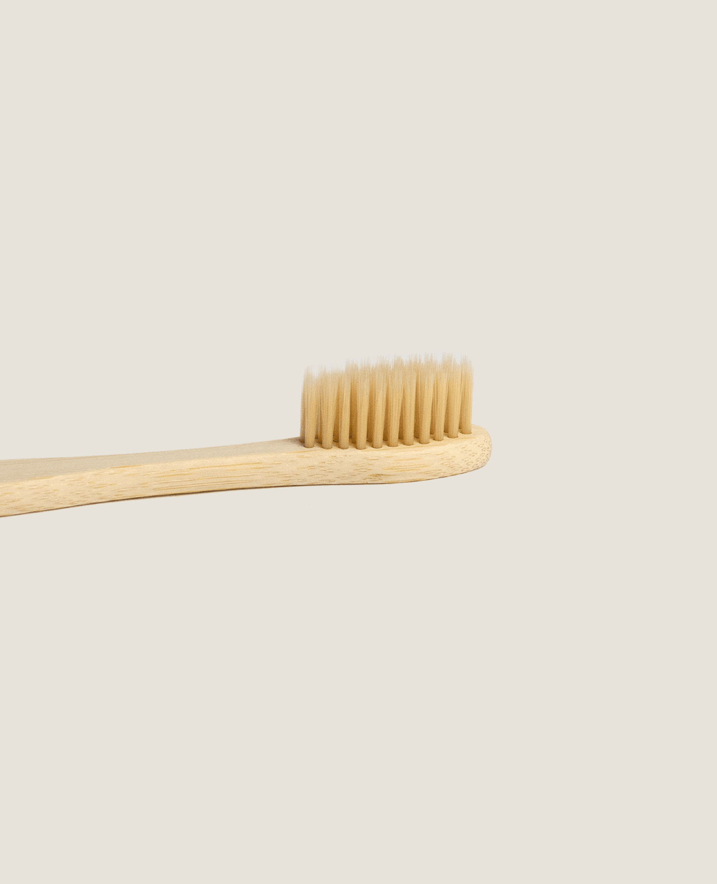 Bamboo Toothbrush Standard