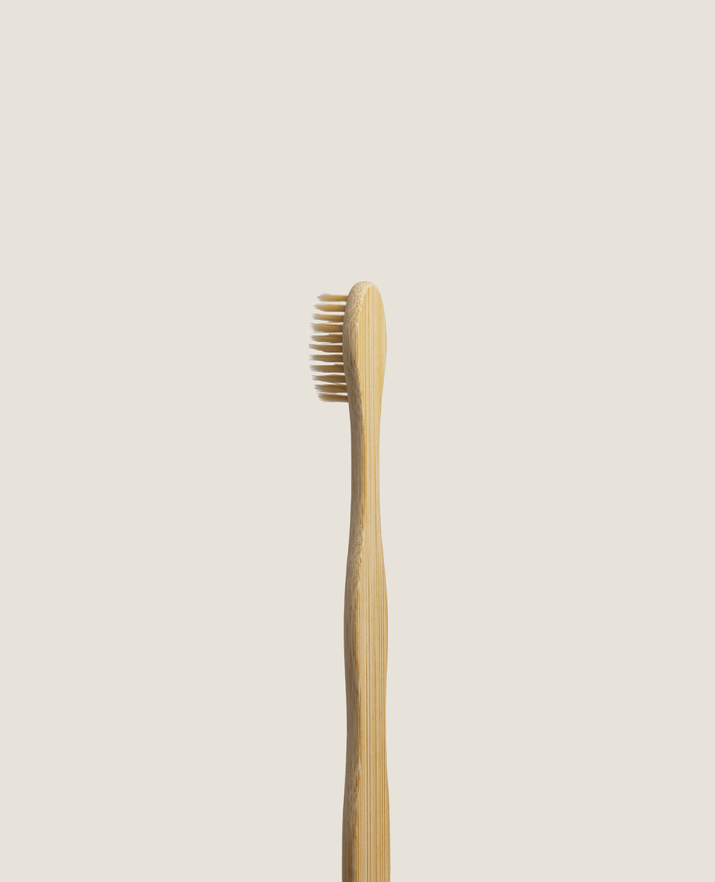 Bamboo Toothbrush Standard