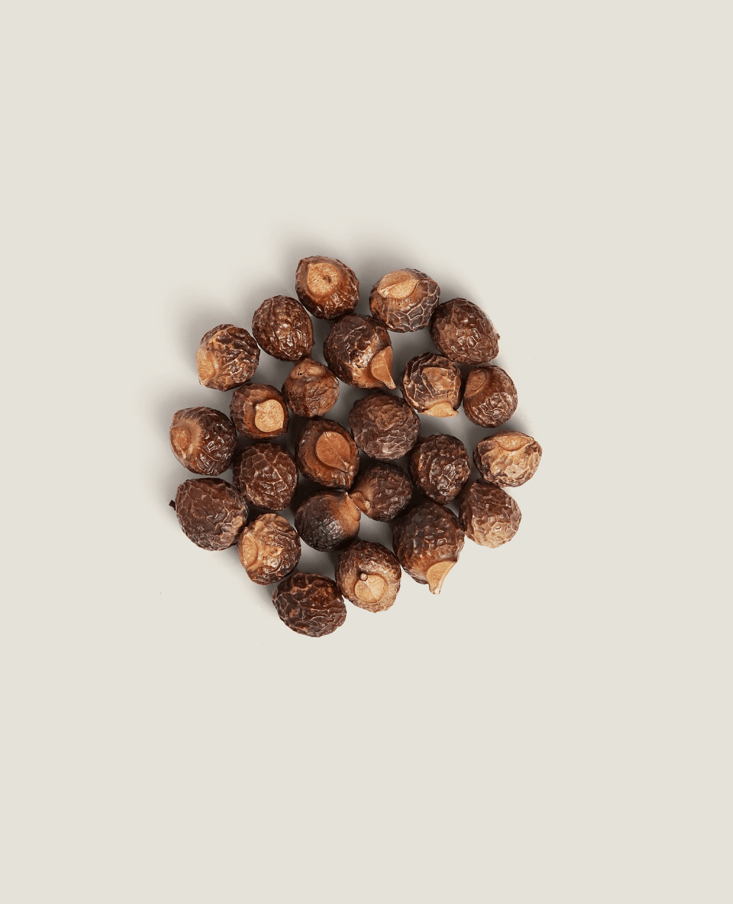 Soapnut Berries